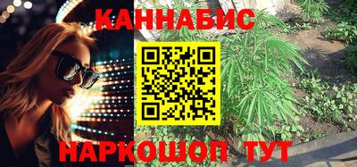 крисы Волгодонск
