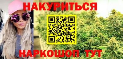 крисы Волгодонск
