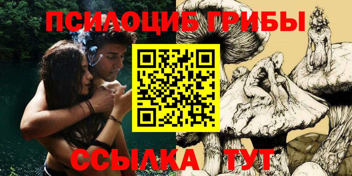 Борзя  Галлюциногенные грибы Cubensis  Вход с VPN 
